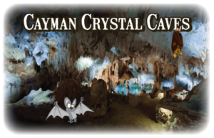 Logo Design by Frank Brittner Graphics for this project | Design: #8426808