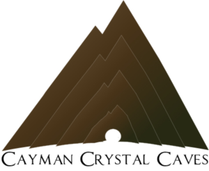 Logo Design by - A -