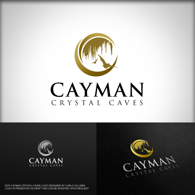 Logo Design by carlomagno for this project | Design #8419870