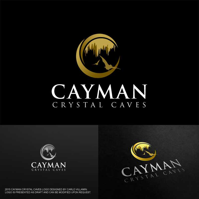 Logo Design by carlomagno for this project | Design #8439716