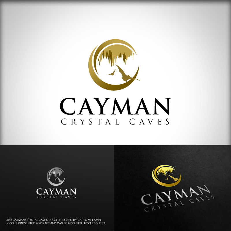 Logo Design by carlomagno for this project | Design #8439717