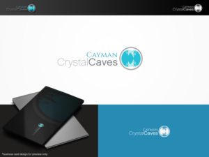 Logo Design by ArtSamurai for this project | Design: #8389372