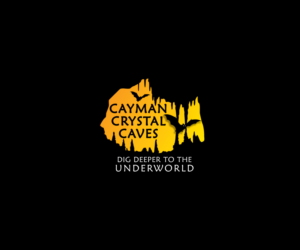 Logo Design by digi-b for this project | Design: #8423432