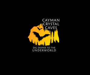 Logo Design by digi-b for this project | Design: #8429681