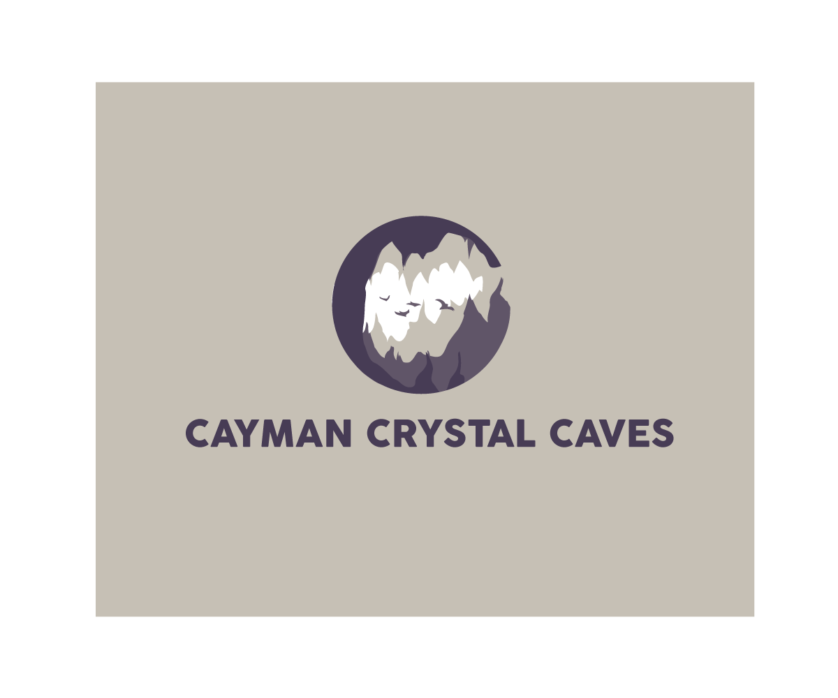 Logo Design by Sunny for this project | Design #8386564