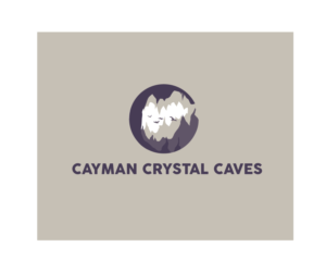 Logo Design by Sunny for this project | Design: #8386564