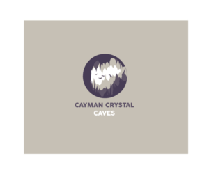 Logo Design by Sunny for this project | Design: #8409010