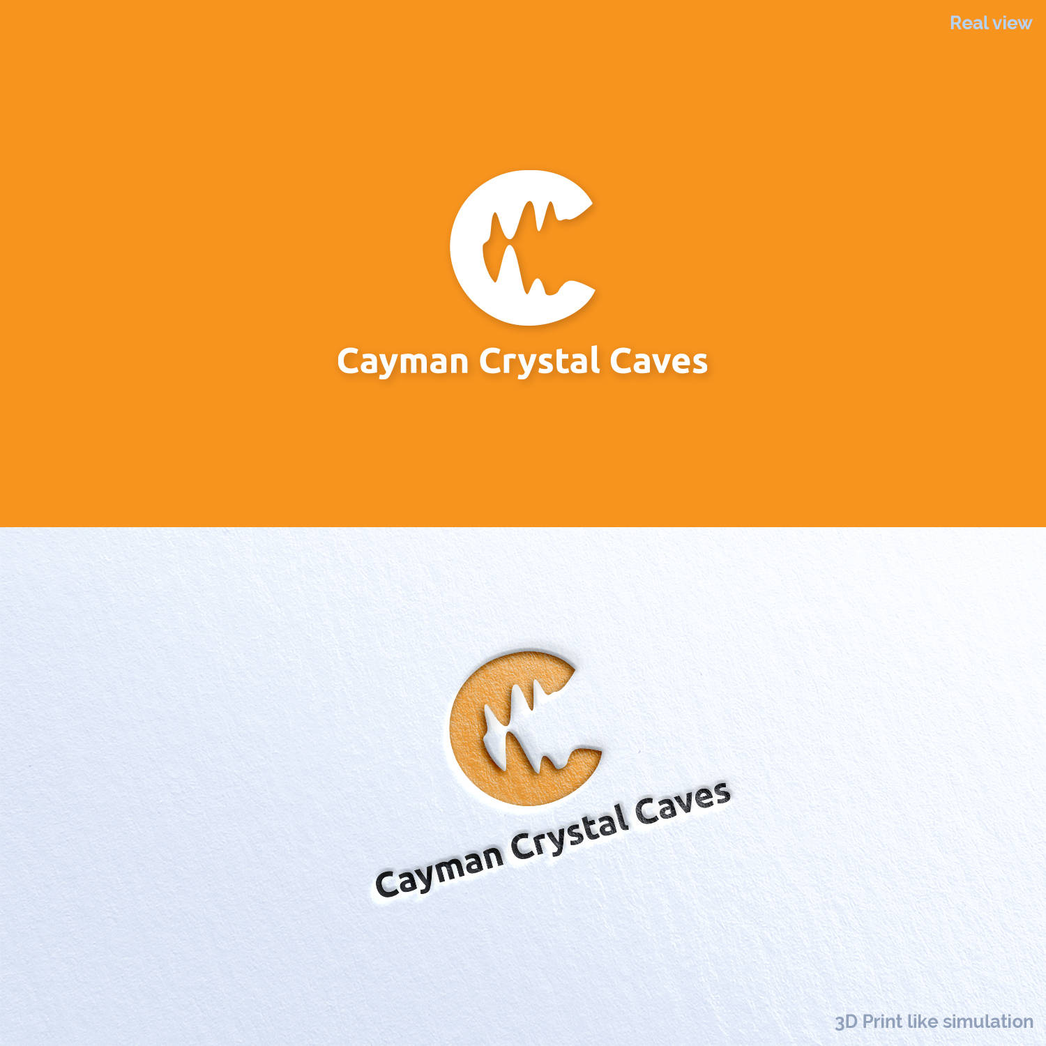 Logo-Design von Anthony für dieses Projekt | Design #8414589