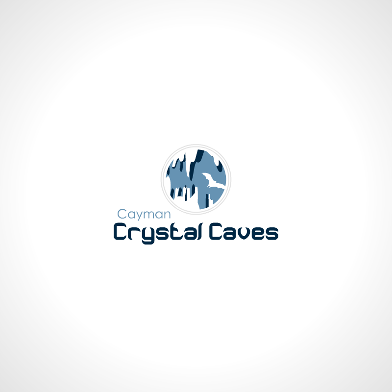 Logo Design by REDcrackers.com for this project | Design #8386286