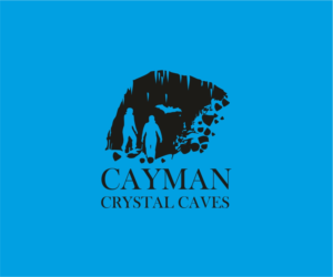 Logo Design by Logocraft for this project | Design: #8387095