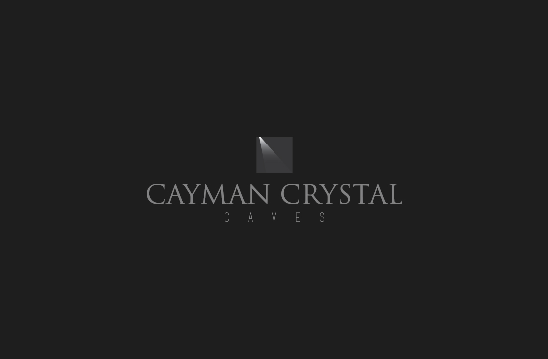 Logo Design by GLDesigns for this project | Design #8314483