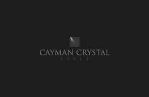 Logo Design by GLDesigns for this project | Design: #8314483