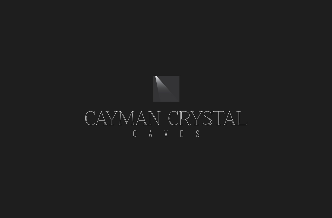 Logo Design by GLDesigns for this project | Design #8317327