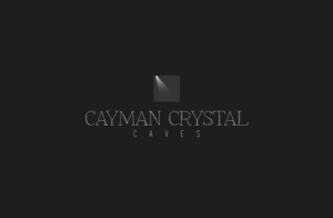 Logo Design by GLDesigns for this project | Design: #8317327