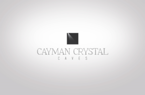 Logo Design by GLDesigns for this project | Design: #8317333