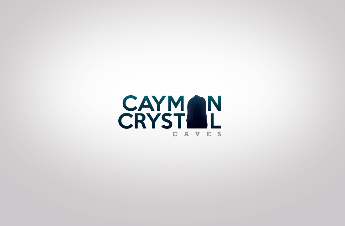 Logo Design by GLDesigns for this project | Design #8407607