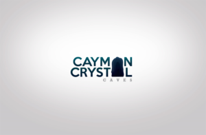 Logo Design by GLDesigns for this project | Design: #8407607