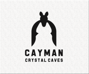 Diseño de Logo por galihaka para este proyecto | Diseño #8337847