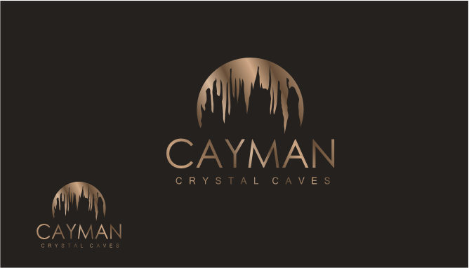Logo Design by cr8ive for this project | Design #8391298