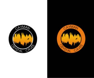 Logo Design by LittleDesign for this project | Design: #8405075