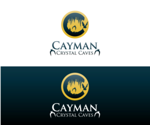 Logo Design by carlbondoc for this project | Design: #8397755