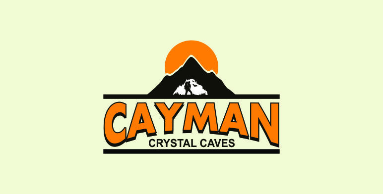 Logo-Design von pa2pat für dieses Projekt | Design #8395437