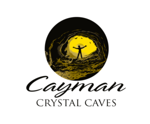 Logo Design by blue eye