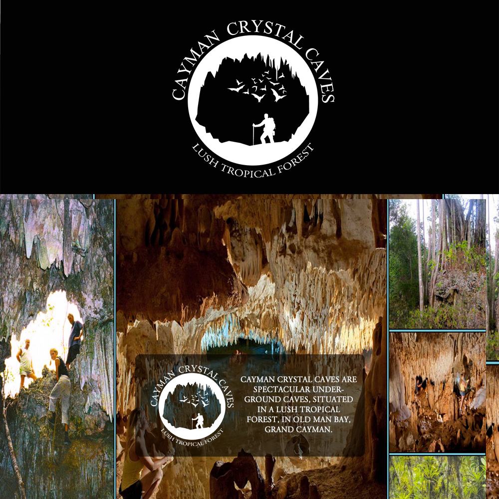 Logo Design by Sathyakumar.G for this project | Design #8418853