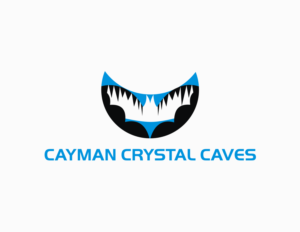 Logo Design by R!CKY for this project | Design: #8410175