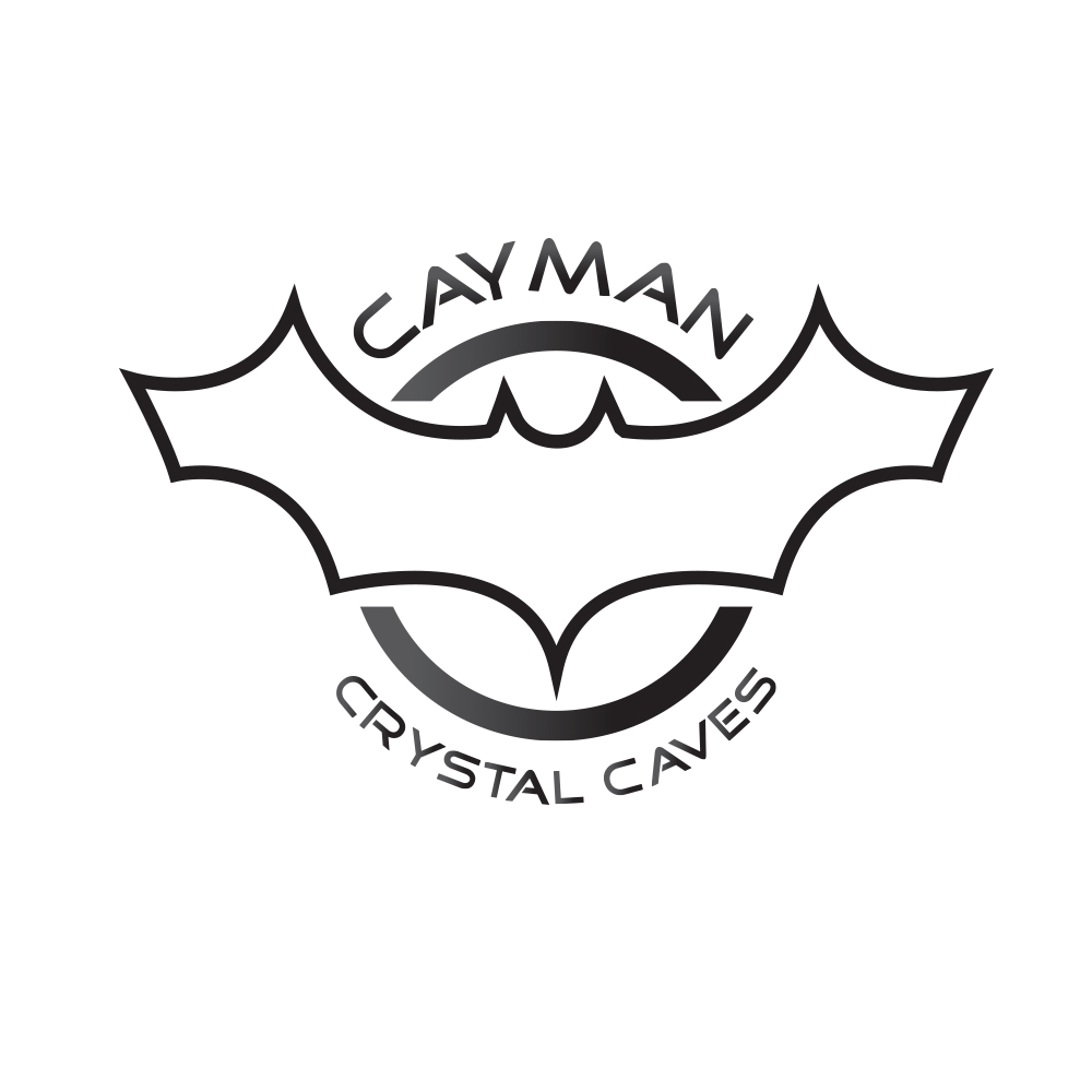 Logo Design by zayed Imam for this project | Design #8387220