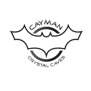 Logo Design by zayed Imam for this project | Design: #8387220