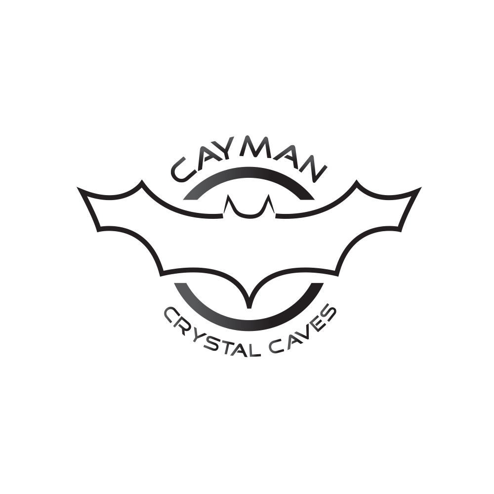 Logo Design by zayed Imam for this project | Design #8387221