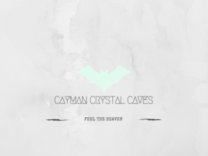 Logo Design by jainshubham141