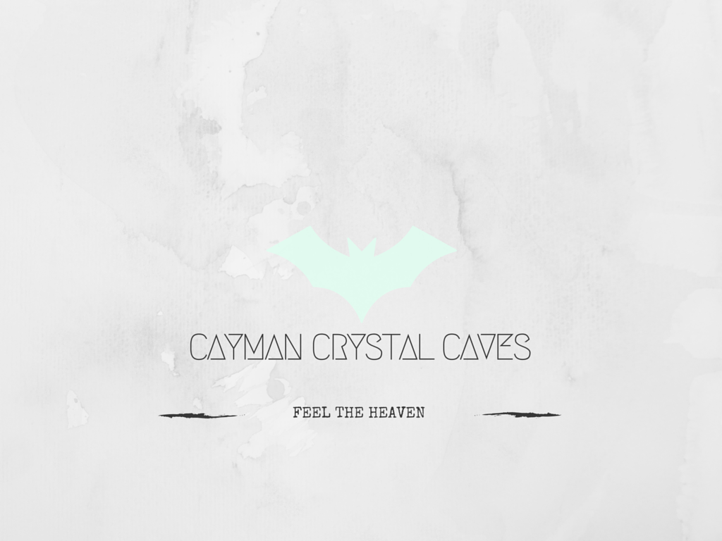 Diseño de Logo por jainshubham141 para este proyecto | Diseño #8388716