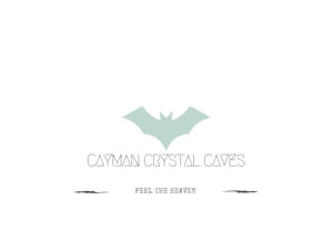 Logo Design by jainshubham141 for this project | Design: #8388717