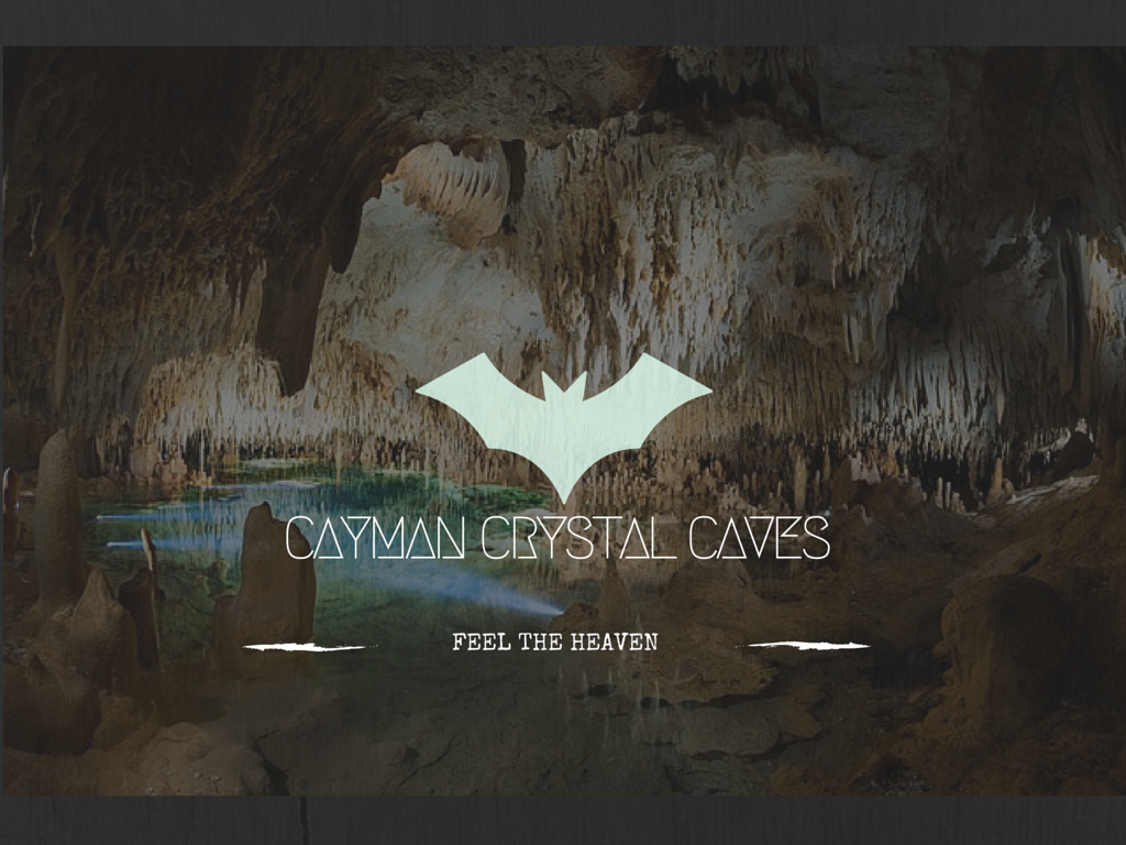 Logo Design by jainshubham141 for this project | Design #8388718