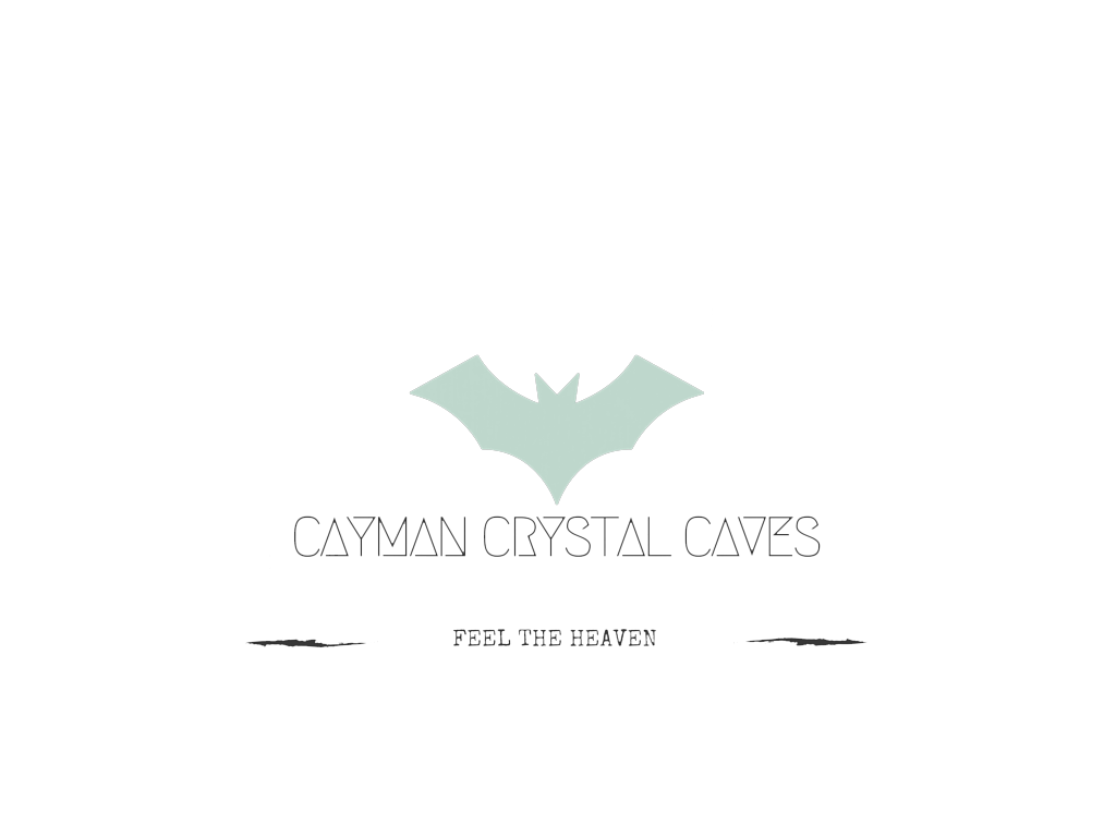 Logo Design by jainshubham141 for this project | Design #8388719