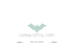 Logo Design by jainshubham141 for this project | Design: #8388719