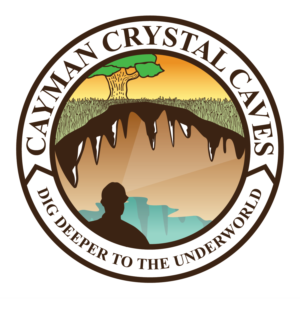 Logo Design by gam_gym for this project | Design: #8430310