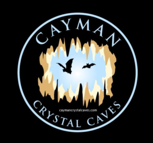 Logo Design by PrintMediaAU for this project | Design: #8389291