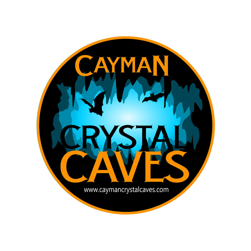 Logo Design by PrintMediaAU for this project | Design #8390199