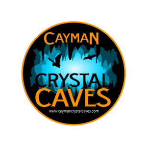 Logo Design by PrintMediaAU for this project | Design: #8390199