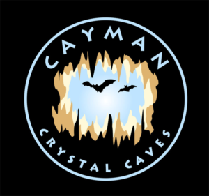 Logo Design by PrintMediaAU for this project | Design: #8418073