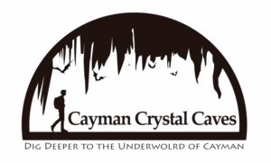 Logo Design by lwissitoon