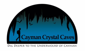 Logo Design by lwissitoon for this project | Design: #8427192