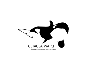 Logo Design by Shank