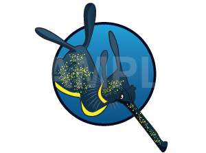 Weedy Sea Dragon for Dive Club | Diseño Con Ilustración por Priyo Subarkah