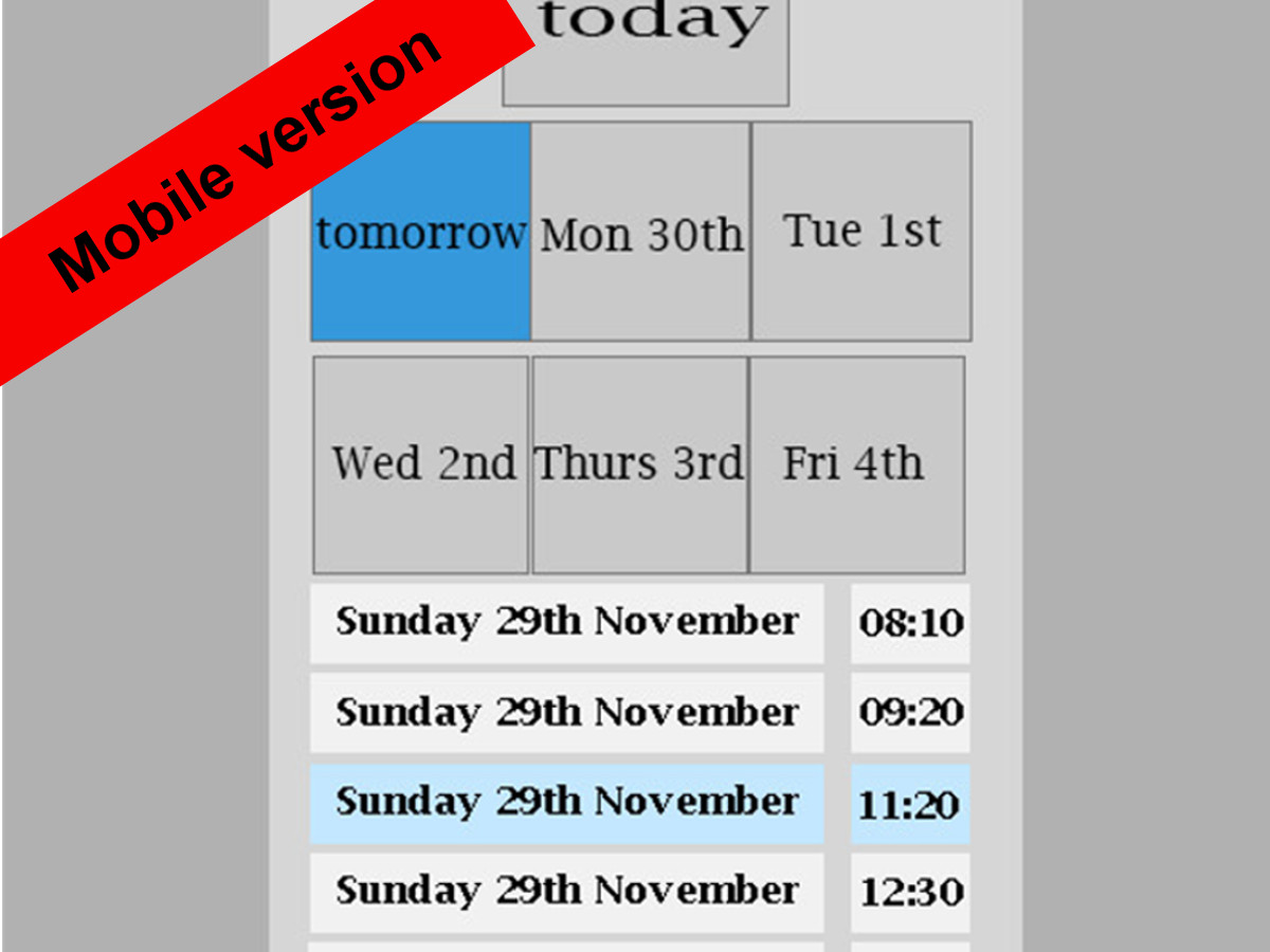 Web Design by ictus.fernando for Blumoo Bookings | Design #8168194