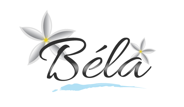 Diseño de Logo por Vibrix Media para este proyecto | Diseño #8205988