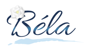 Logo Design by Vibrix Media for this project | Design: #8299891
